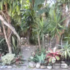 La imagen 4 de la Empresa AVILAN PALACIOS ARQUITECTURA Y PAISAJISMO Proyectos Jardines en Caracas Z