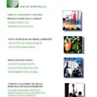 La imagen 4 de la Empresa DMC DE VENEZUELA S.A. Solvente Dielectrico en Maracaibo V