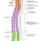 La imagen 3 de la Empresa DR. JESUS FARIÑAS YANES. Neurocirujano en Caracas. M