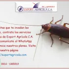 La imagen 3 de la Empresa EXPORT AGRÍCOLA C.A veneno en Maracay D