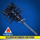 La imagen 2 de la Empresa INSESAL CA Seguridad en Maracay D