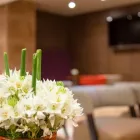 La imagen 22 de la Empresa INTERCONTINENTAL MARACAIBO en Maracaibo V