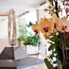 La imagen 25 de la Empresa INTERCONTINENTAL TAMANACO CARACAS en Caracas