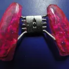 La imagen 2 de la Empresa LABORATORIO DENTAL INVERSIONES ORTOYAN Retenedores Post Ortodonticos en Los Teques M