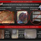 La imagen 4 de la Empresa MULTISERVICIOS PROTEGER Revestimientos en Maracaibo V