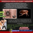 La imagen 5 de la Empresa MULTISERVICIOS PROTEGER Revestimientos en Maracaibo V