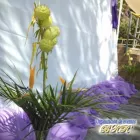 La imagen 4 de la Empresa ORGANIZACIÓN DE EVENTOS BKR Tortas en Guarenas M