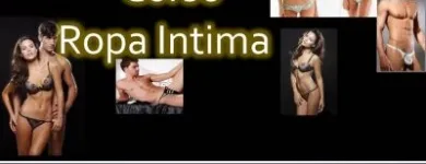 La imagen 3 de la Empresa CENTRO INTEGRAL EDUCATIVO CIBA Violin en Caracas M