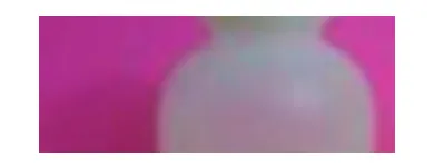 La imagen 35 de la Empresa ENVASES DOMPER CARABOBO CA Vidrio en Valencia G