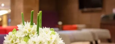 La imagen 22 de la Empresa INTERCONTINENTAL MARACAIBO en Maracaibo V