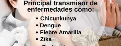 La imagen 5 de la Empresa INVERSIONES SERVIPUSH Ventanas en Caracas M