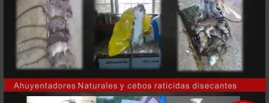 La imagen 2 de la Empresa MULTISERVICIOS PROTEGER Revestimientos en Maracaibo V