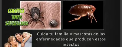 La imagen 5 de la Empresa MULTISERVICIOS PROTEGER Revestimientos en Maracaibo V