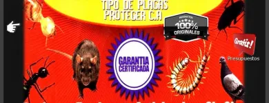 La imagen 6 de la Empresa MULTISERVICIOS PROTEGER Revestimientos en Maracaibo V