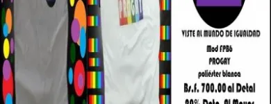 La imagen 1 de la Empresa PROGAY Utensilios en Naguanagua G