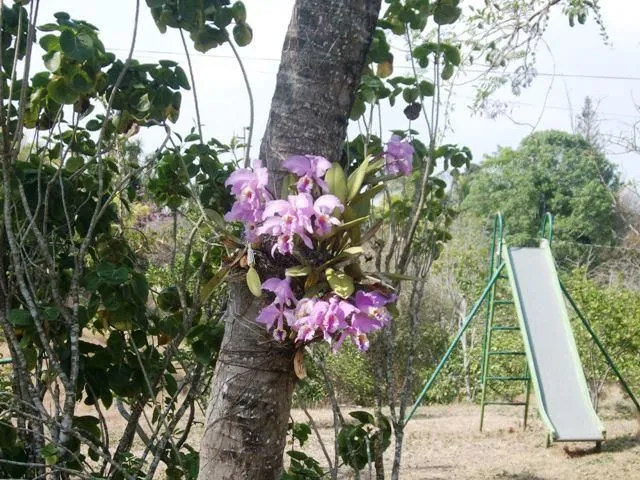 La imagen 1 de la Empresa CASA CAMPESTRE VACACIONAL MI REFUGIO