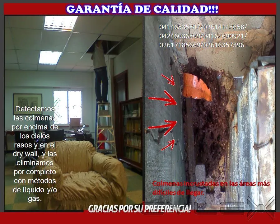 La imagen 1 de la Empresa MULTISERVICIOS PROTEGER