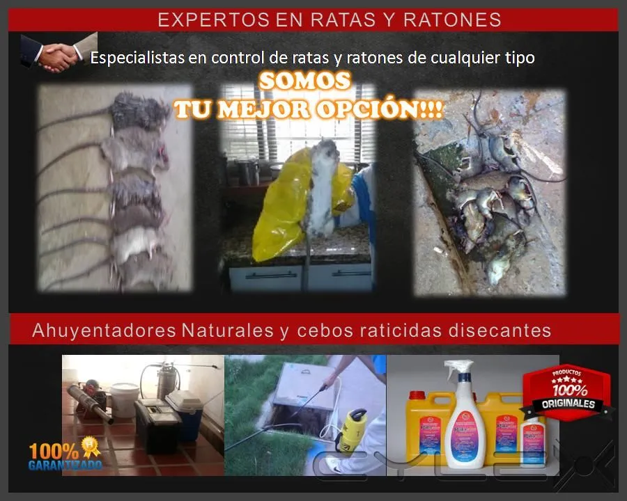 La imagen 2 de la Empresa MULTISERVICIOS PROTEGER