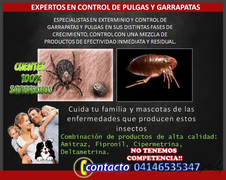 La imagen 5 de la Empresa MULTISERVICIOS PROTEGER