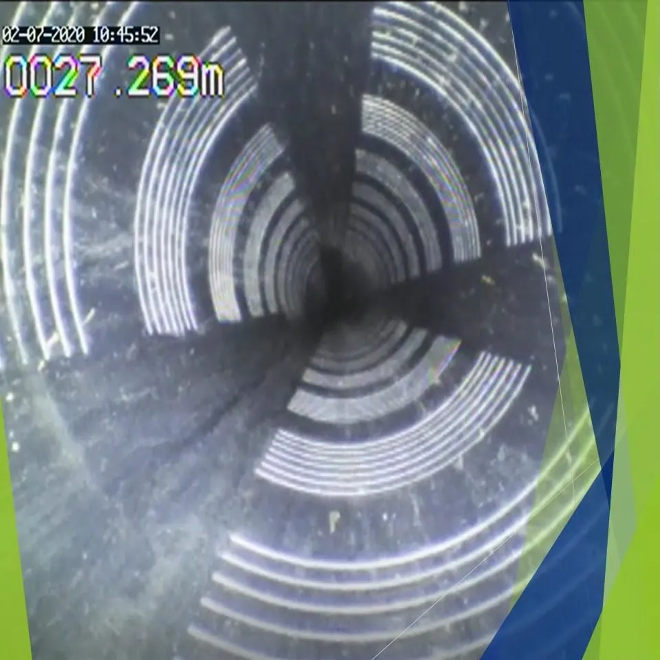 La imagen 2 de la Empresa GEOSOUL CONSULTING