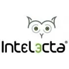 INTELECTA SERVICIOS